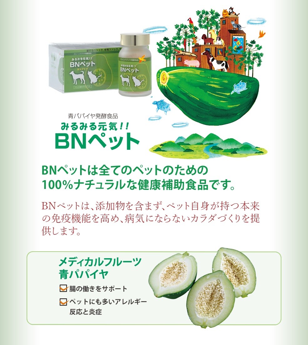 BNペット ボトルタイプ 55g 三旺インターナショナル バイオノーマ