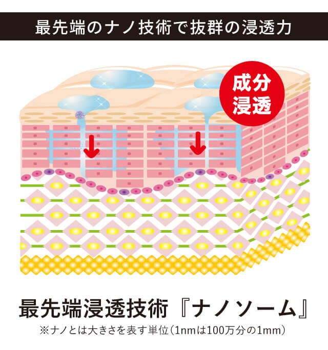 濃いヒゲ・カミソリ負けの悩みに アンサーコスメ スキンコントローラージェル エイジングケア 抑毛 ムダ毛ケア 70g  :acskingel:cocoon - 通販 - Yahoo!ショッピング