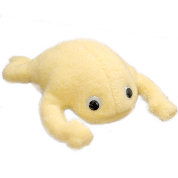 【手芸キット】動物ぬいぐるみ：アニマル倶楽部 イルカ ブルー　夏休み子供手芸に人気　作り方説明書付　生地は型抜き済み　綿・ペレット付他 |  | 14