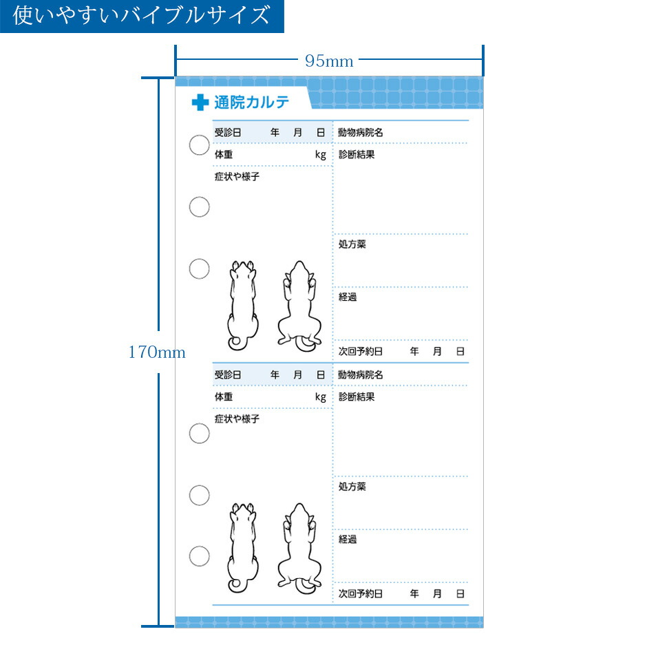 通院カルテと体重管理表