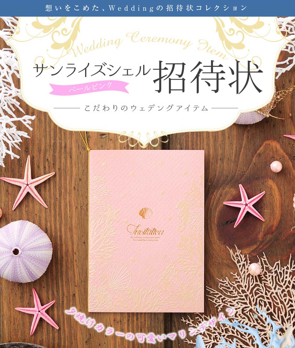 サンライズシェルペールピンク