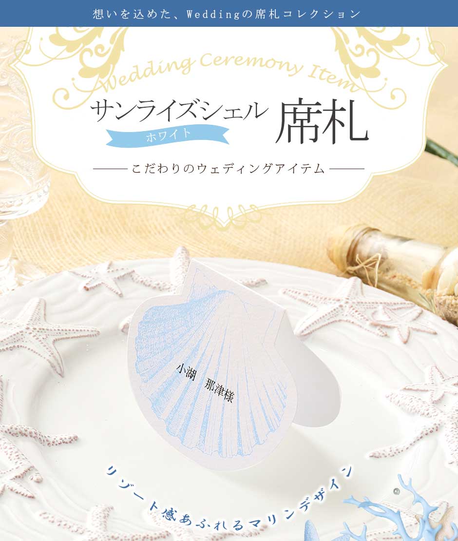サンライズシェルホワイト