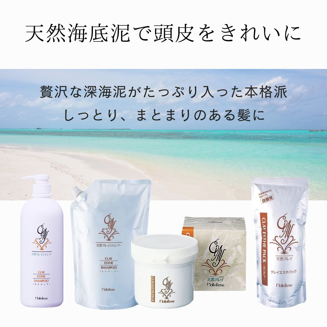 クレイエステレシュティヴシャンプー1L 5本セット クレイエステ / クレイエステ シャンプー レシュティヴの公式商品情報