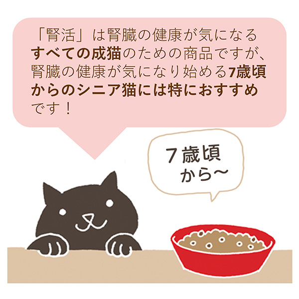 腎活 まぐろとかつおペースト 40g JK-2...の詳細画像3
