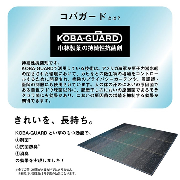 【地域制限有】【メーカー直送】イケヒコ・コーポレーション ラグ 小林製薬 持続性抗菌剤 KOBA-GUARD 制菌 抗菌防臭 滑り止め ウレタン 不織_3
