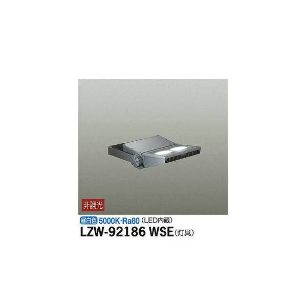 大光電機:アウトドアスポットライト LZW-92186WSE(メーカー直送品) LED屋外スポットライト