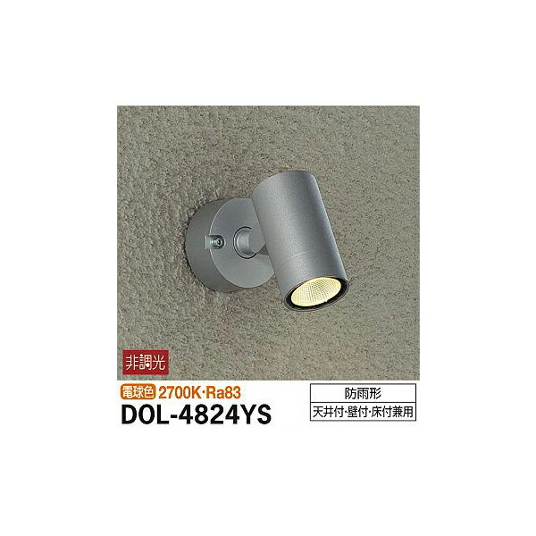 大光電機:アウトドアスポット DOL-4824YS(メーカー直送品)