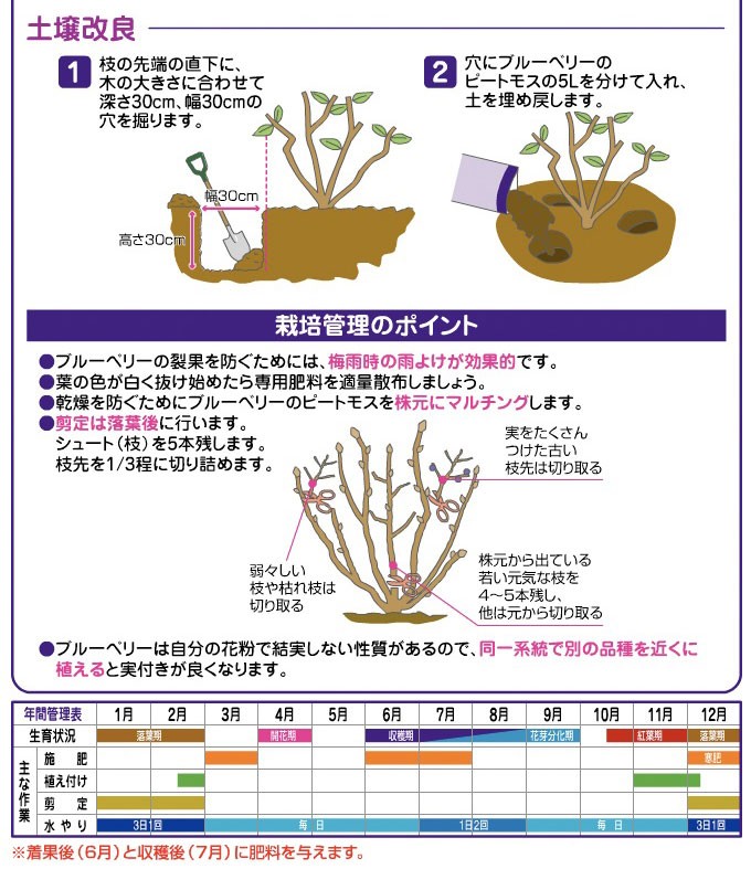 超人気 花ごころ ブルーベリーのピートモス 5L discoversvg.com