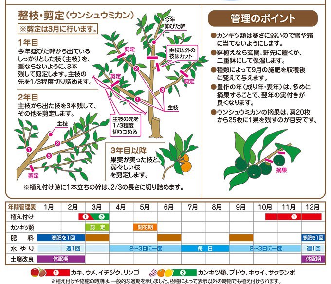 最大77％オフ！ 4977445204309 12L 土 オーガニック 柑橘の土 GET果樹 かんきつ 花ごころ::GET果樹 園芸用土