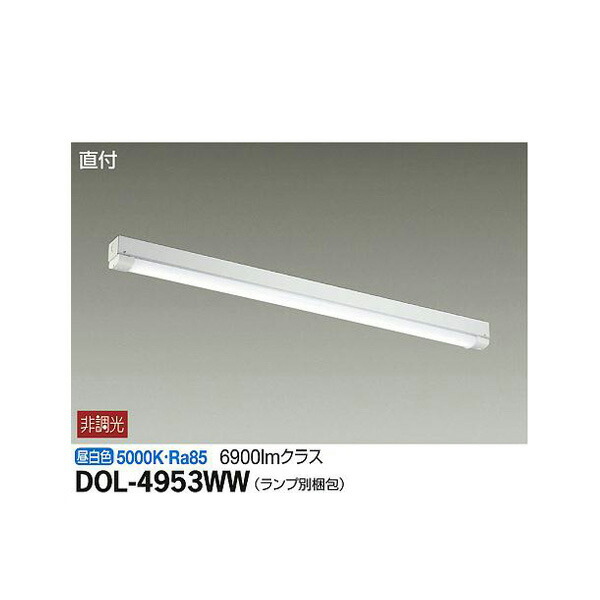 大光電機:軒下ベースライト DOL-4953WW(メーカー直送品) LED屋外シーリング