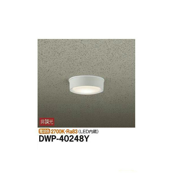 ŵ:ȥɥ饤 DWP-40248Y(᡼ľ) LED