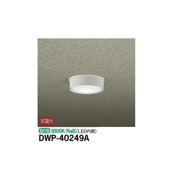 ŵ:ȥɥ饤 DWP-40249A(᡼ľ) LED