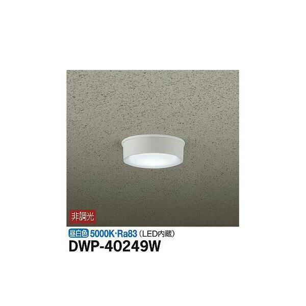 ŵ:ȥɥ饤 DWP-40249W(᡼ľ) LED