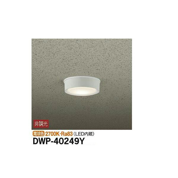 ŵ:ȥɥ饤 DWP-40249Y(᡼ľ) LED