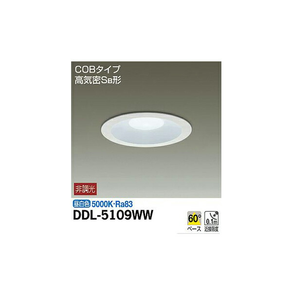 大光電機:ダウンライト (軒下兼用) DDL-5109WW(メーカー直送品) DDL-5109WW