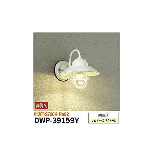 ŵ:ȥɥ饤 DWP-39159Y(᡼ľ)