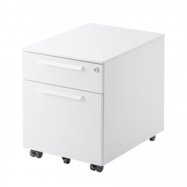 サンワサプライ キャビネット SNW-105W