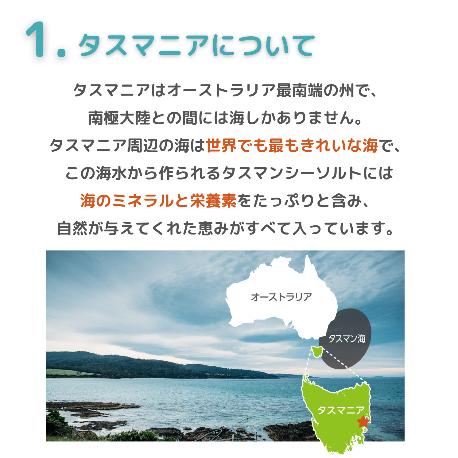 タスマンシーソルト ナチュラル スモーク ペッパーベリー ワカメ