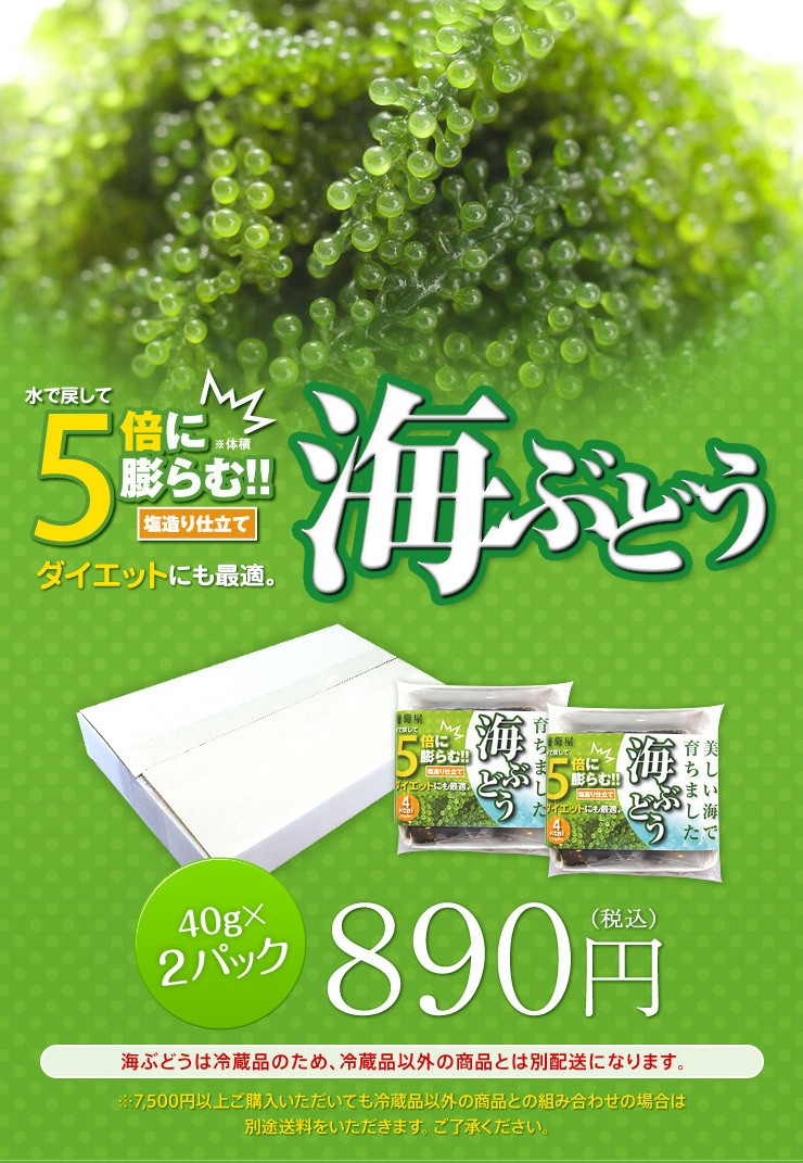 無農薬 山口さんが丹精込めてつくった海ぶどう 水に戻して5倍に膨らむ お試し用40g 2パック 冷蔵 471 タスマニアサーモン専門店cocotto 通販 Yahoo ショッピング