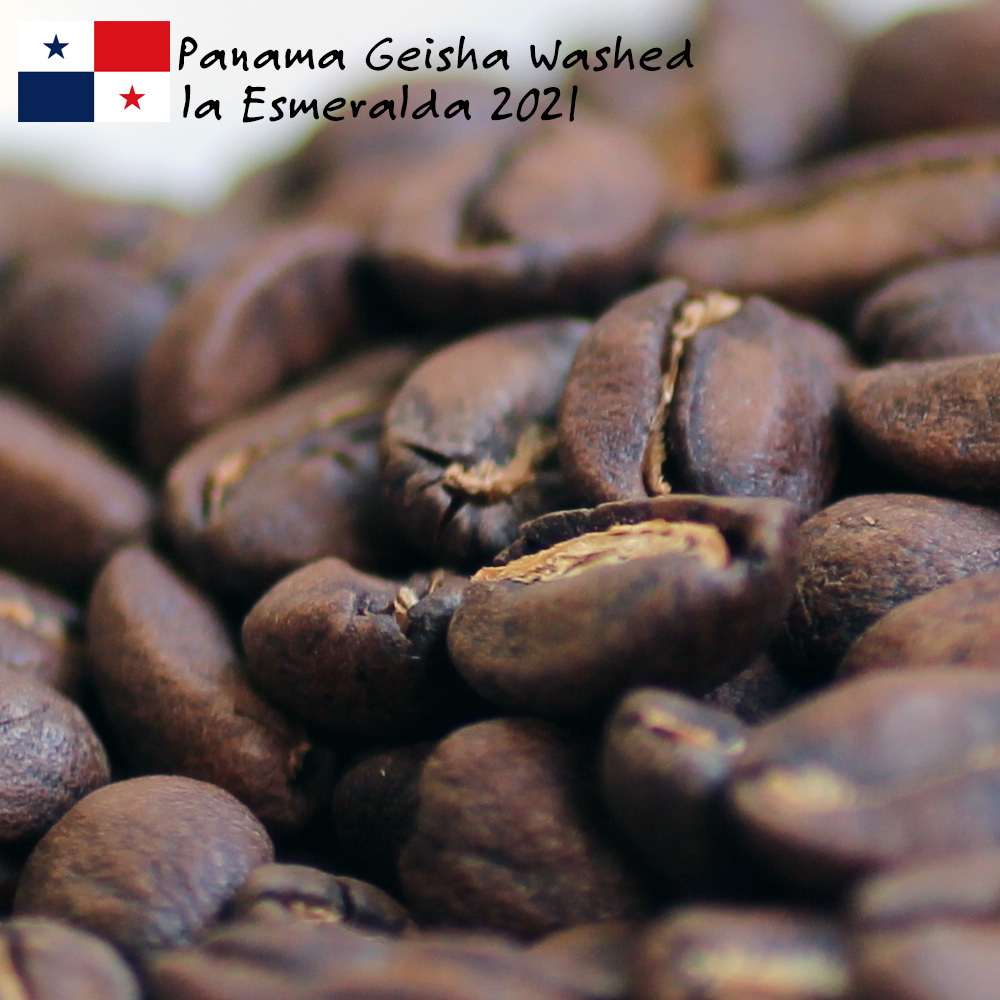 コーヒー豆 パナマゲイシャ 150g×3袋 豆のまま限定 : 焙煎工房 豆太