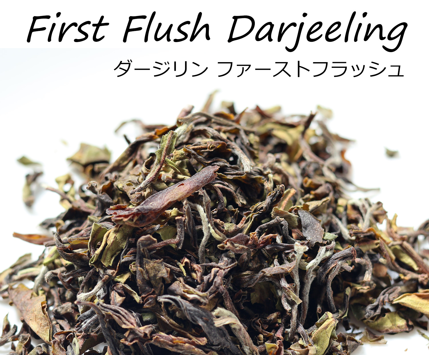 希少！紅茶の最高峰 ダージリン・ファーストフラッシュ 希少！春摘み
