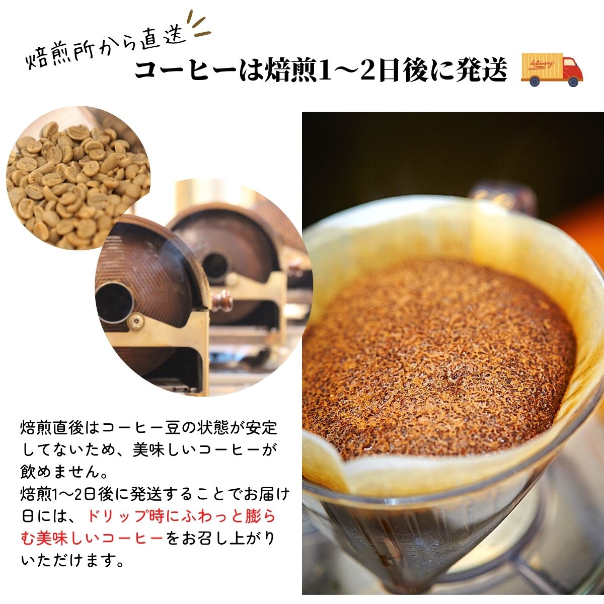 コーヒー豆 自家焙煎 珈琲豆屋 種類 ブラジル ショコラ 200g | 高級