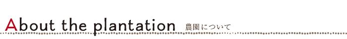 農園について