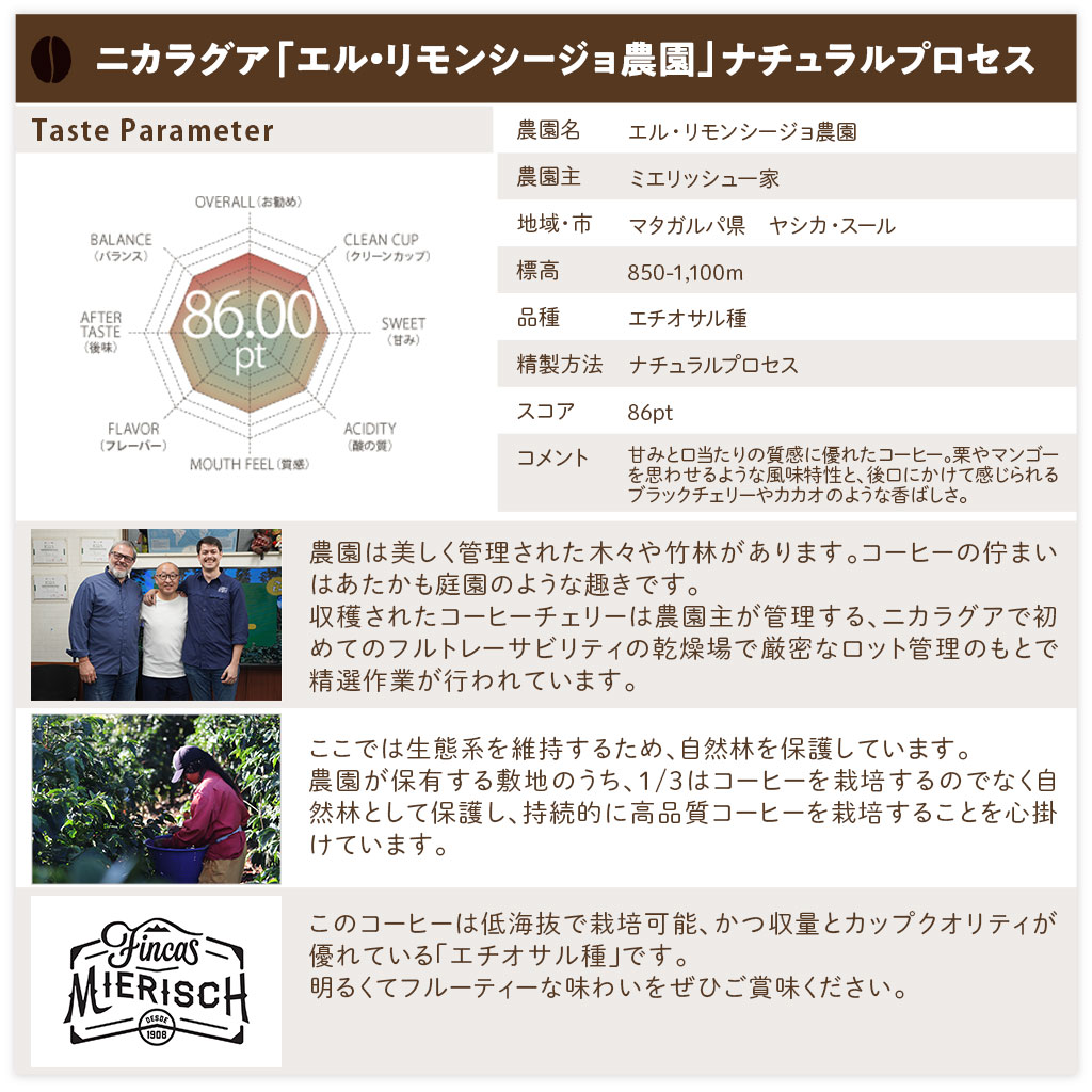 スペシャルティコーヒーを識るセット 【300g×4パック】 1.2kg【送料