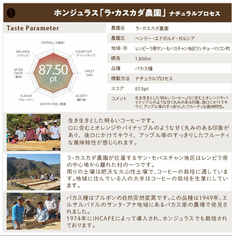 スペシャルティコーヒーを識るセット 【300g×4パック】 1.2kg【送料