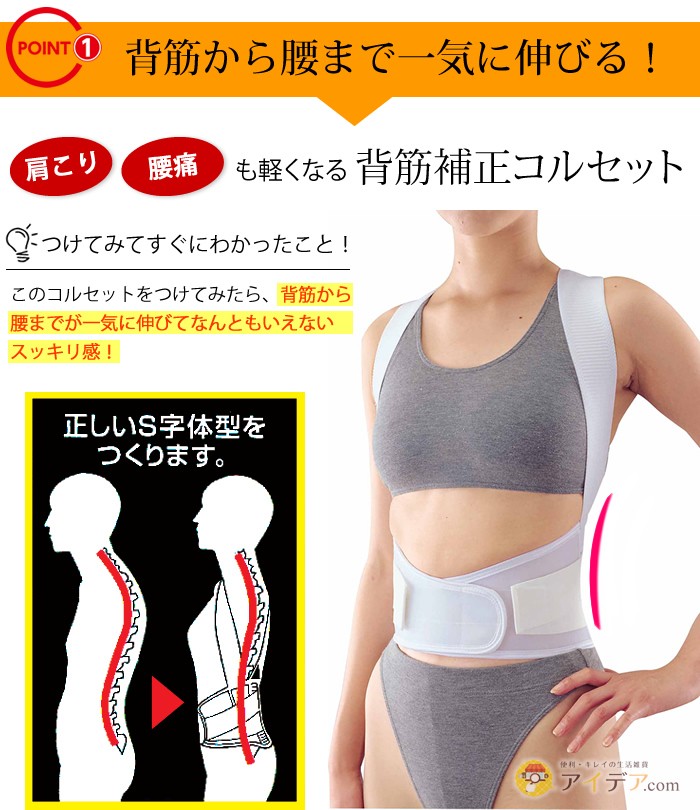 背筋から腰まで一気に伸びる