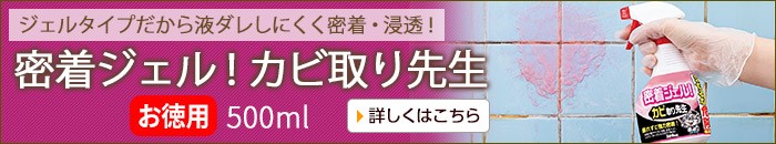 密着ジェル!カビ取り先生 お徳用