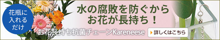 お花長持ち抗菌チェーンKareneese