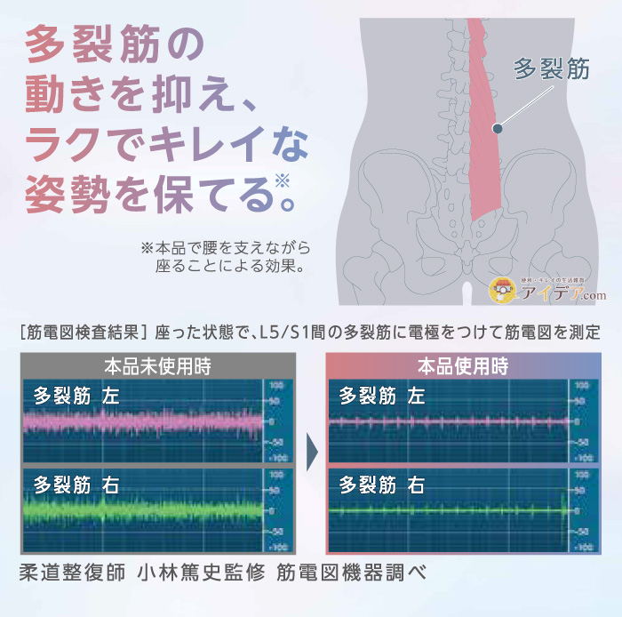 ボディカルテ　腰楽座サポートプレート:多裂筋の動きを抑えラクでキレイな姿勢を保てる。