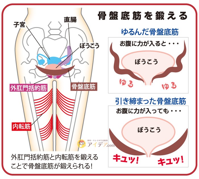 ゆるみ対策スリッパキュキュッパ：骨盤底筋を鍛える