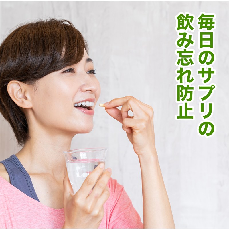 薬の管理 薬収納 壁収納 薬ポケット 薬ケース 薬入れ 介護用品 入れ