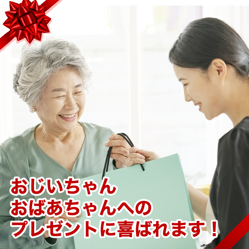 薬の管理 薬収納 壁収納 薬ポケット 薬ケース 薬入れ 介護用品 入れ