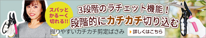 握りやすいカチカチ剪定ばさみ