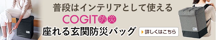 COGIT防災 座れる玄関防災バッグ