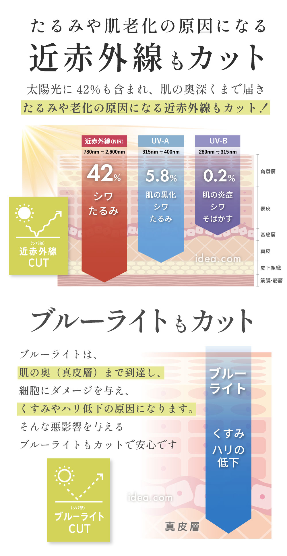 近赤外線もカット