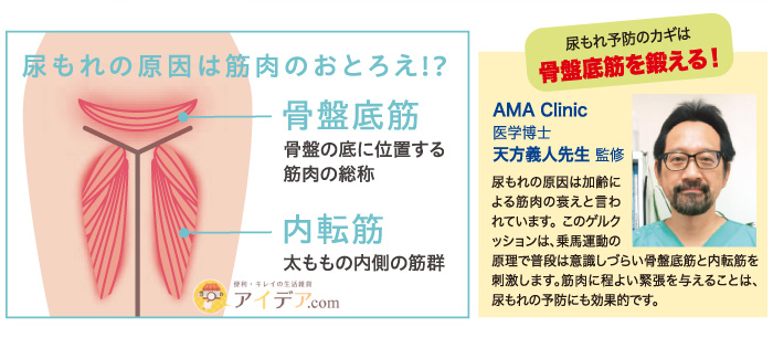 骨盤底筋クッション シメナイト ピンク:AMA Clinic 医学博士 天方 義人先生 監修