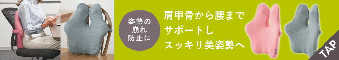 背骨シャキットクッション