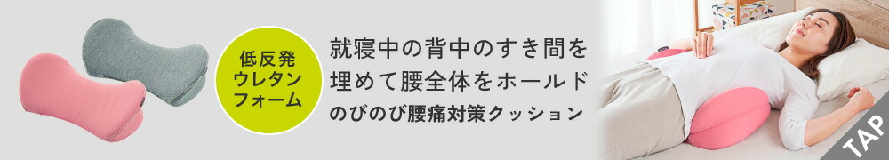 のびのび腰痛対策クッション