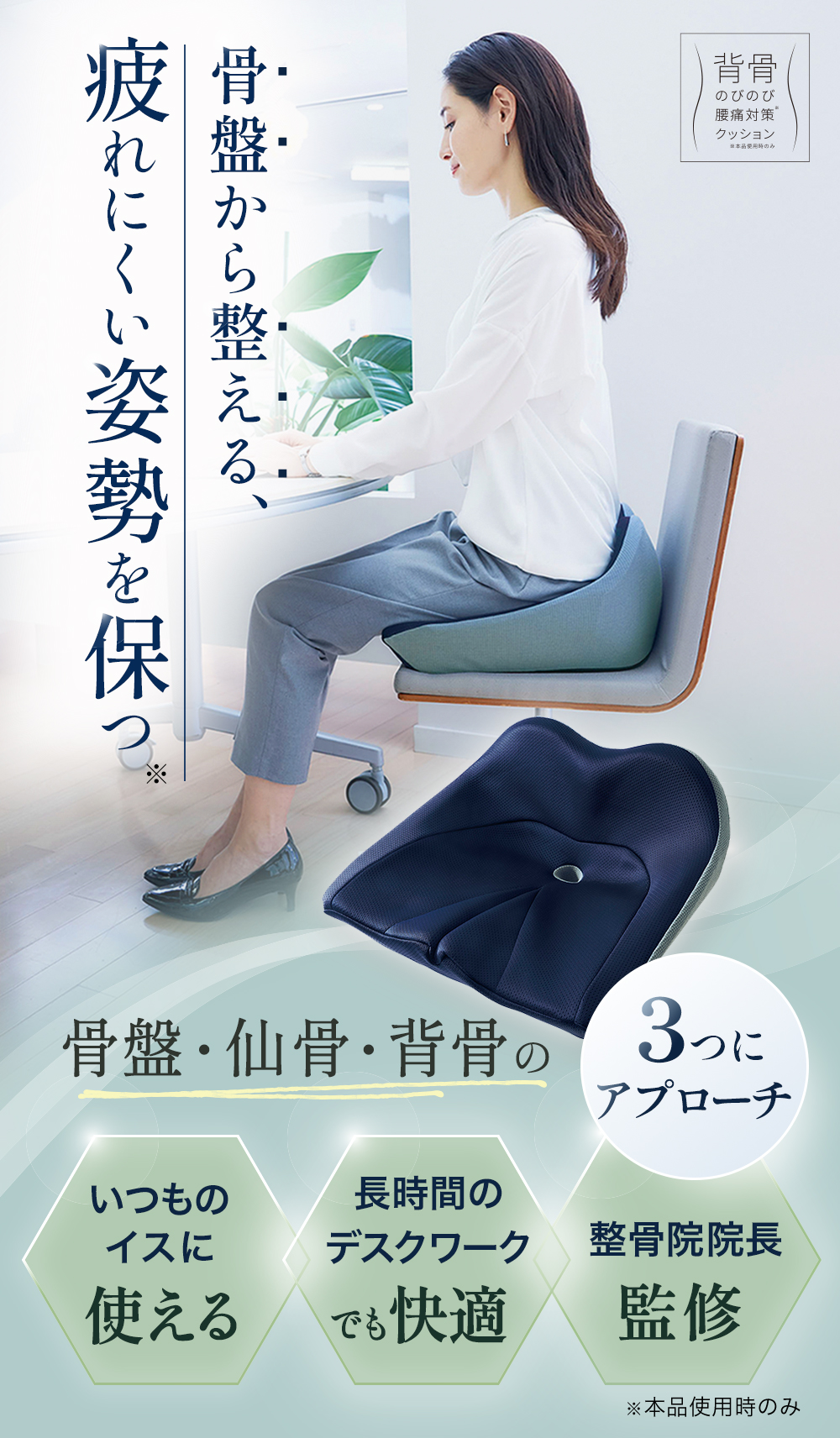 背骨 のびのび腰痛対策クッション [コジット]