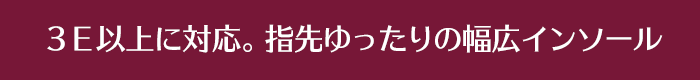 ３Ｅ以上に対応。指先ゆったりの幅広インソール