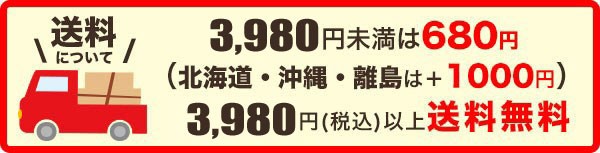 3,980円以上送料無料