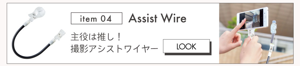 シストワイヤー