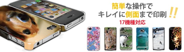 ワイルドカード17機種対応