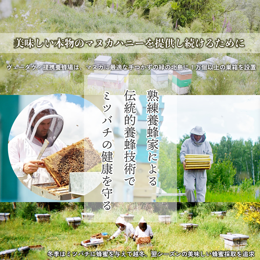 ヴェーダヴィマヌカハニー 