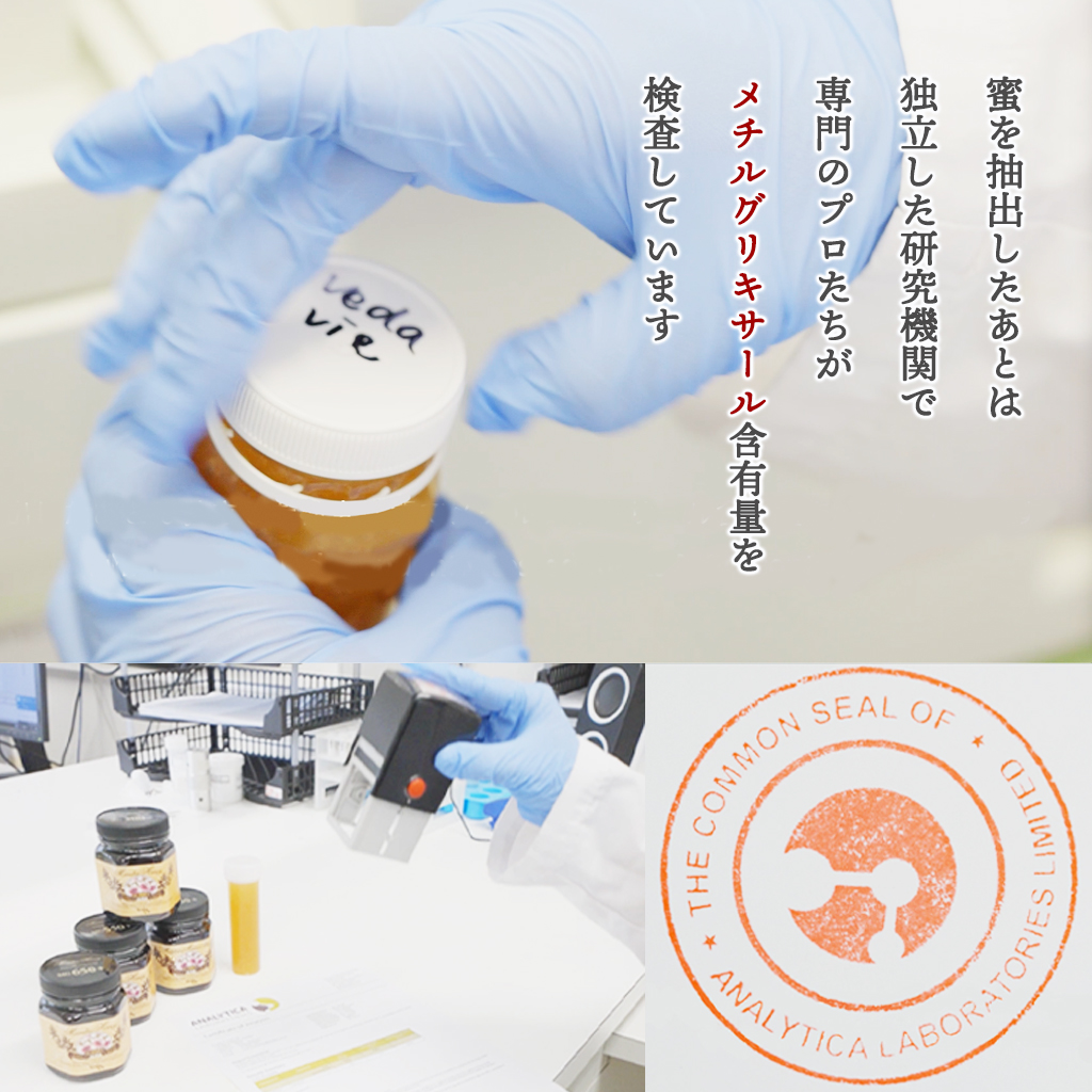 ヴェーダヴィマヌカハニー 