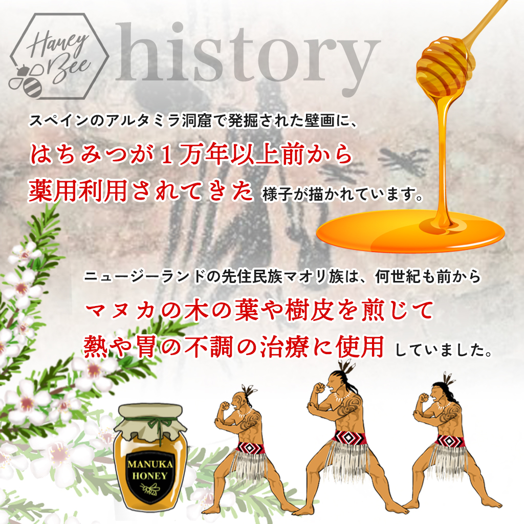 ヴェーダヴィマヌカハニー 